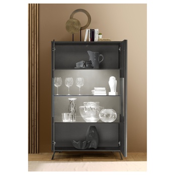 Vitrína  LIVING 2 černá popelavá 2