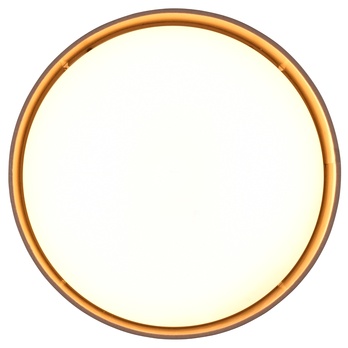 Stropní LED svítidlo LOCARNO šedá 3