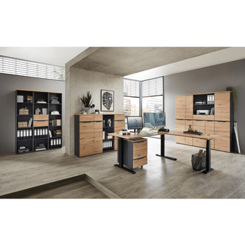 Regál  MEMPHIS II dub artisan/grafitová 1