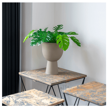 Umělá květina  MONSTERA II zelená 3
