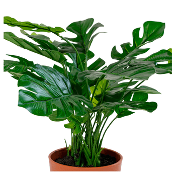 Umělá květina  MONSTERA II zelená 6