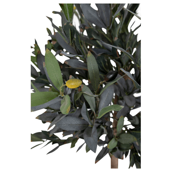 Umělá květina  OLIVE přírodní 5