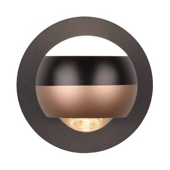 Nástěnné svítidlo ORBIT kávová 4