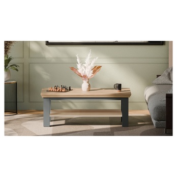 Konferenční stolek PONTYPOOL šedá/dub mauvella, šířka 116 cm 3