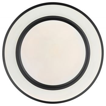 Stropní LED RGB svítidlo SULLY černá/opál 2
