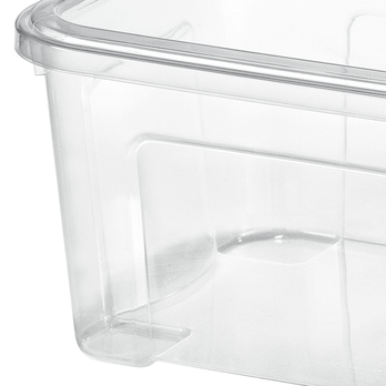 Úložný box  TONTARELLI COMBI 2 transparent, objem 13 l 1
