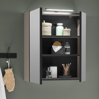 Zrcadlová skříňka VEGA 60 kašmírová 8