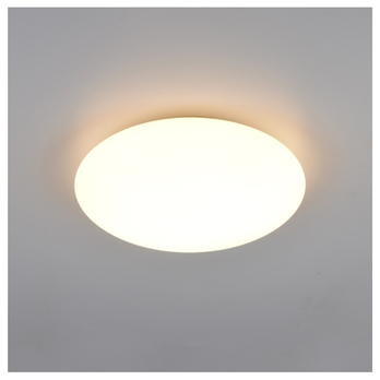 Stropní LED svítidlo VIORA bílá 1