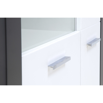 Vitrína WHITNEY GREY GR5  bílá/šedá 4