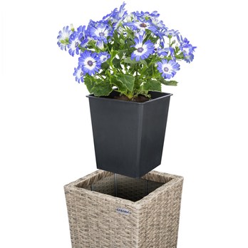 Vysoký obal na květiny WICKER krémová, 3 ks 7