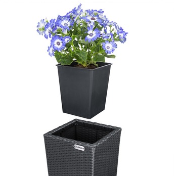 Vysoký obal na květiny WICKER černá, 3 ks 10