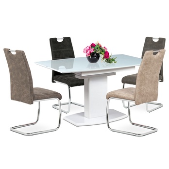 Jídelní židle  ZOEY šedá/stříbrná 1