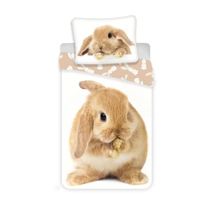 BUNNY BROWN