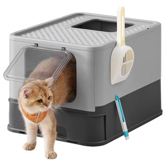 CAT 2 CAT 2