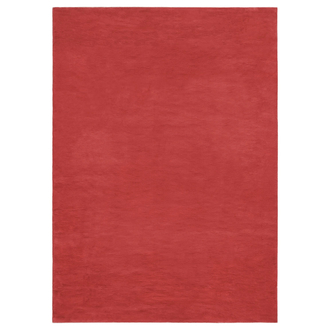 COLOR UNI