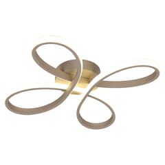 FLY