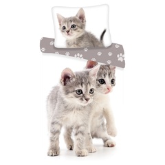 KITTEN GREY