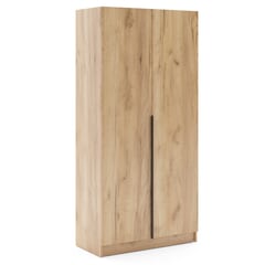 RIVA 100