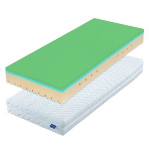 SLEEPGUARD FOX 22