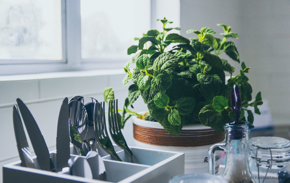 Pěstujeme bylinky v kuchyni – těchto 7 u vás nesmí chybět